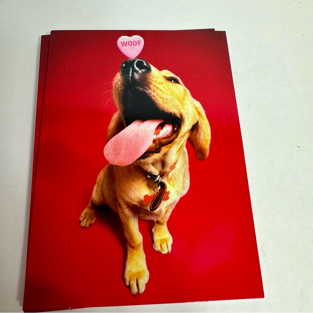 6 Avanti Greeting cards- dog balancing woof pink candy on nose. Valentines Day